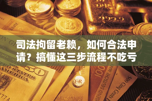 济南司法拘留老赖，如何合法申请？搞懂这三步流程不吃亏！