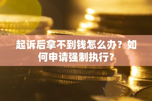 济南起诉后拿不到钱怎么办？如何申请强制执行？
