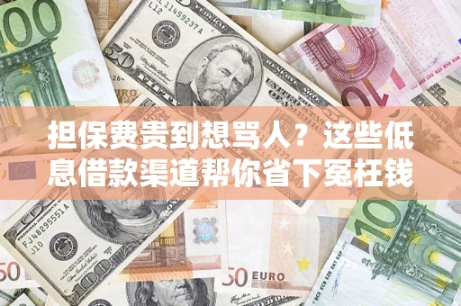济南担保费贵到想骂人？这些低息借款渠道帮你省下冤枉钱