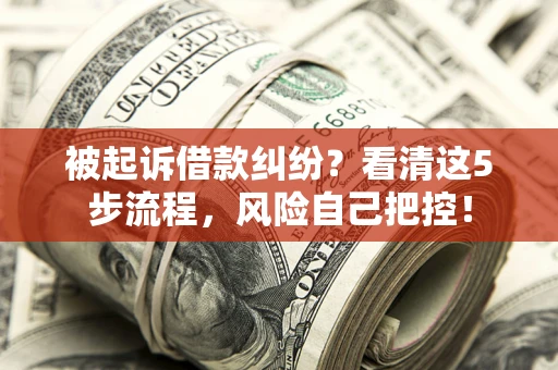 济南被起诉借款纠纷？看清这5步流程，风险自己把控！
